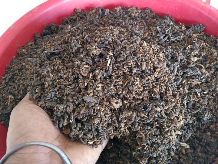 You are currently viewing Ino raha ity?